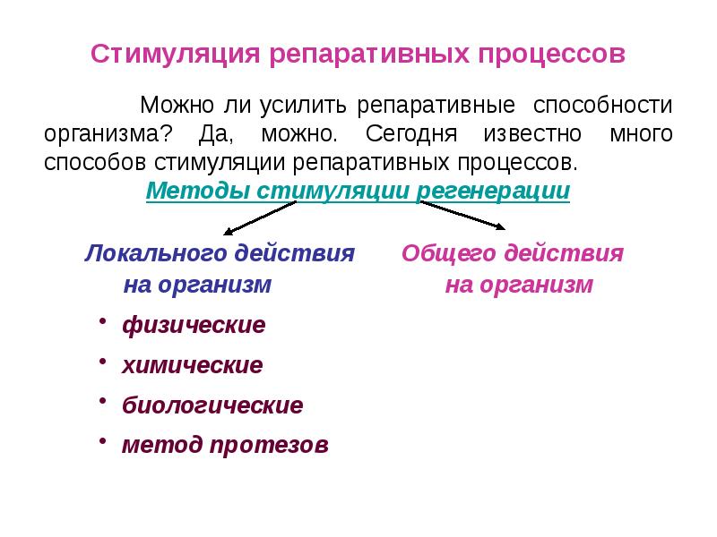 Средства стимулирующие регенерацию тканей презентация