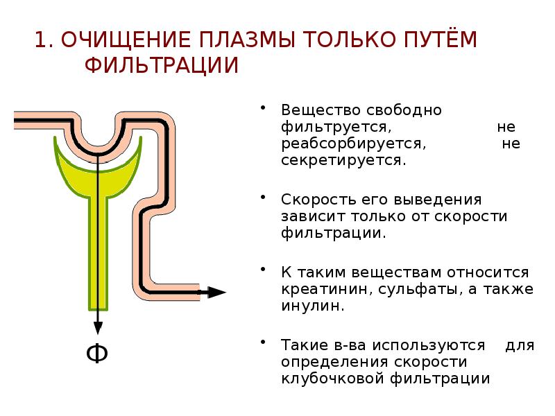 Свободное вещество. Реабсорбируемые вещества в петле Генле. Основные компоненты плазмы крови фильтруется секретируется. Клиренс инулина. Креатинин фильтруется не секретируется.