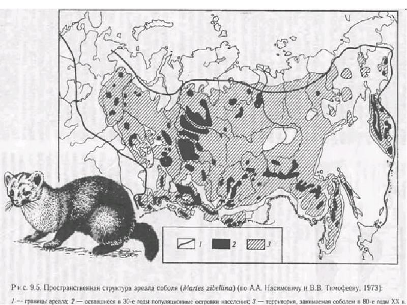 Карта ареалов животных. Ареал популяции. Барсук ареал обитания.