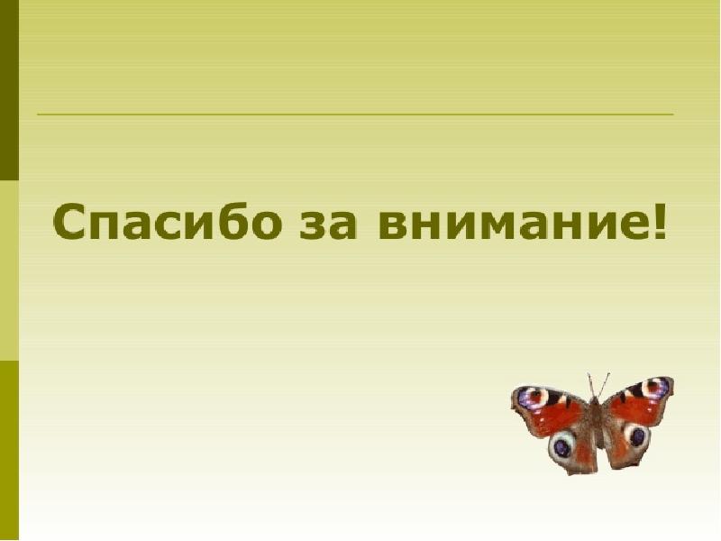 Картинки для презентации спасибо за внимание для биологии