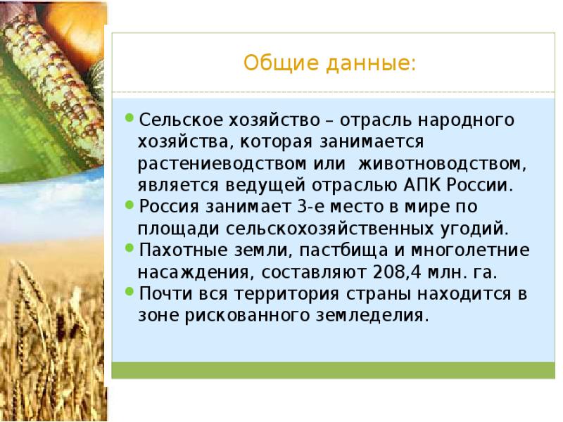 Хозяйство руси. Хозяйство России кратко. Сельское хозяйство России кратко. Сельское хозяйство РФ презентация. Сообщения по теме 