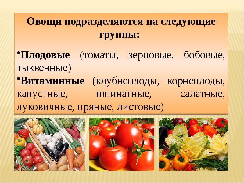 Возможные продукты проекта