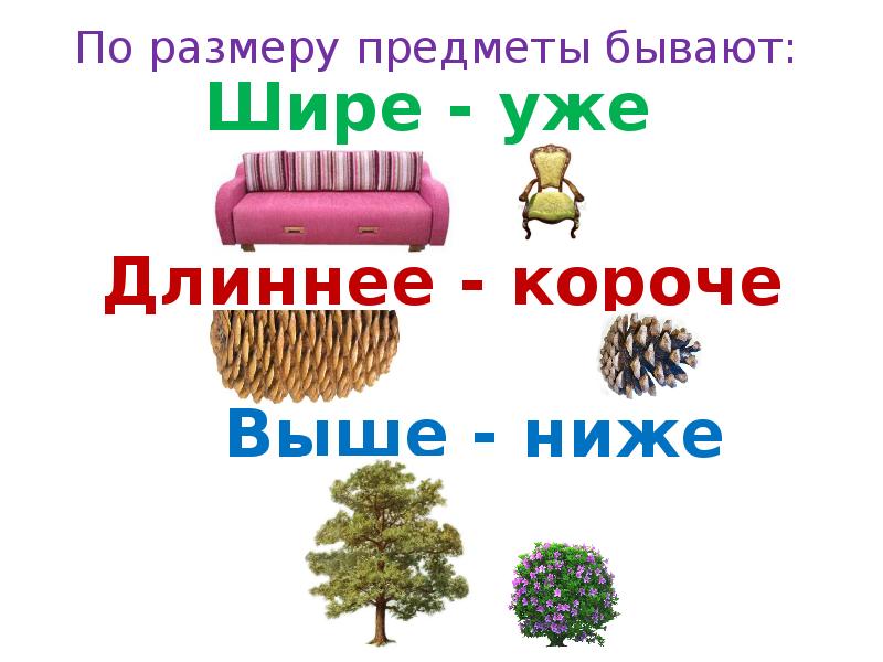 Бывать предмет. Какие бывают предметы. Различение по величине однородных предметов. Различение однородных предметов по ширине. По размеру предметы бывают.