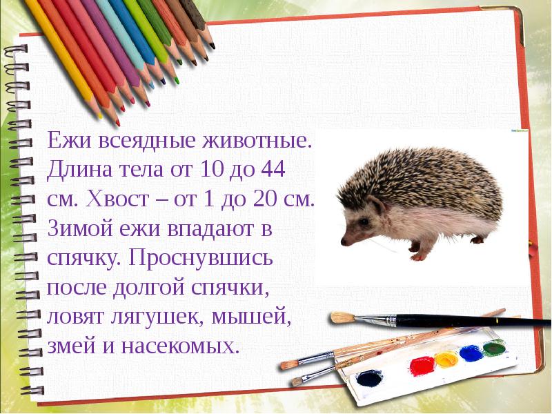 Еж презентация 1 класс