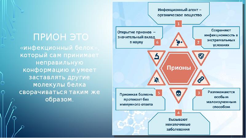 Прион это
«инфекционный белок», который сам принимает неправильную конформацию и умеет Прион это
«инфекционный белок», который сам принимает неправильную конформацию и умеет