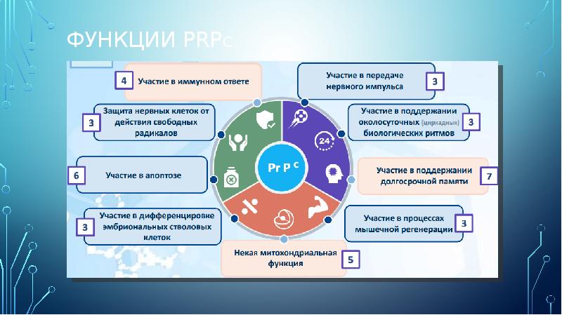 Функции PRPс Функции PRPс