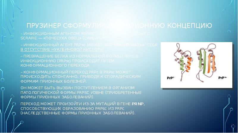 Прионы новые возбудители болезней проект