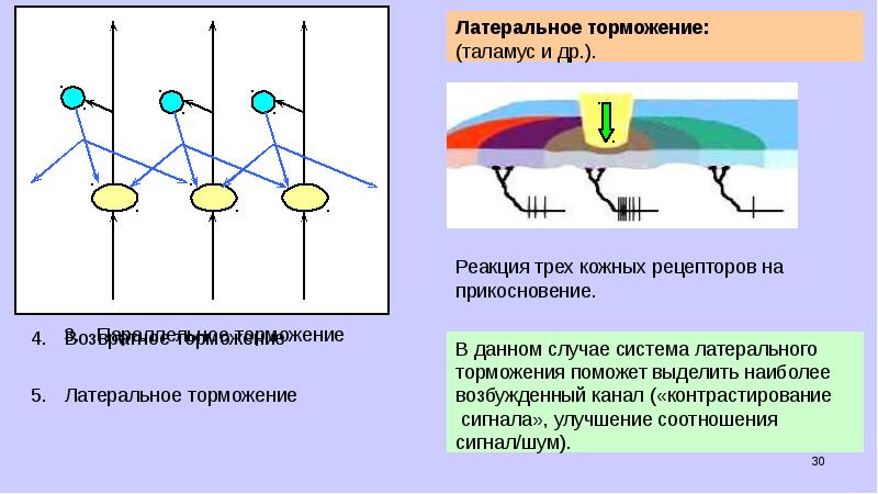 Латеральное торможение схема