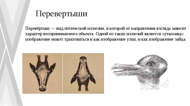 Перевертыши
Перевёртыш — вид оптической иллюзии, в которой от Перевертыши
Перевёртыш — вид оптической иллюзии, в которой от