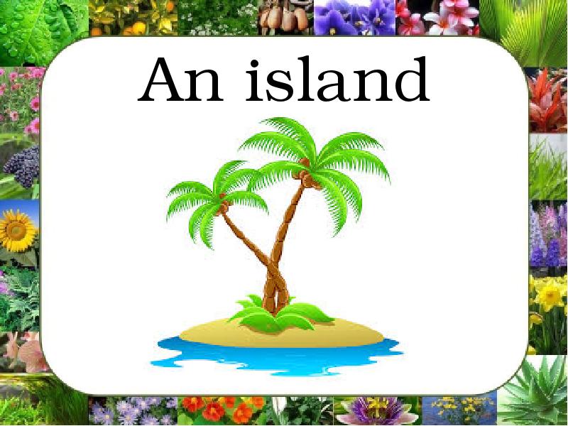 Презентация спотлайт 2 magic island