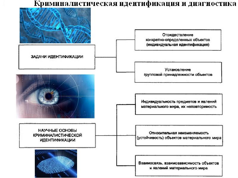 Криминалистическая идентификация презентация