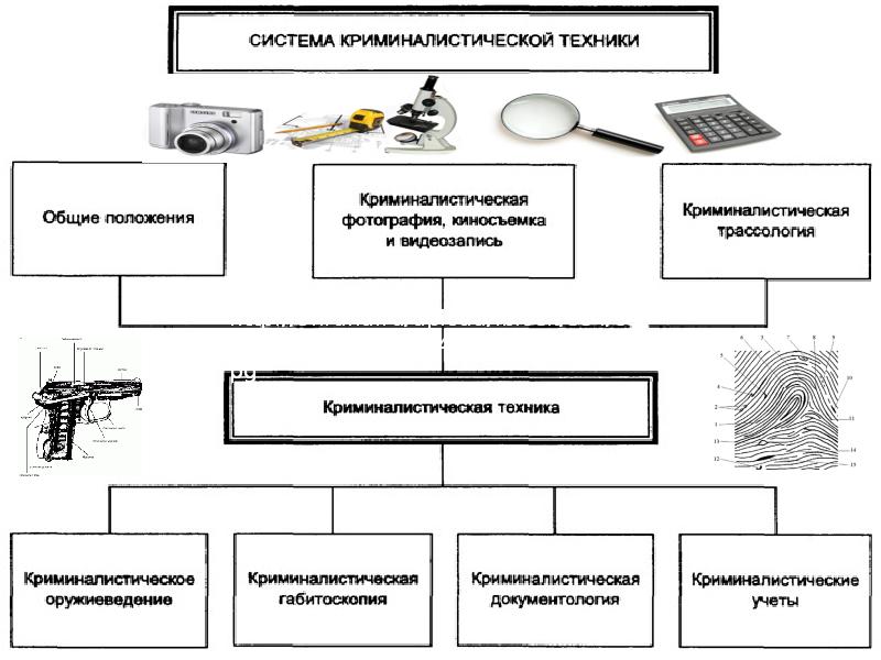 Криминалистика в схемах