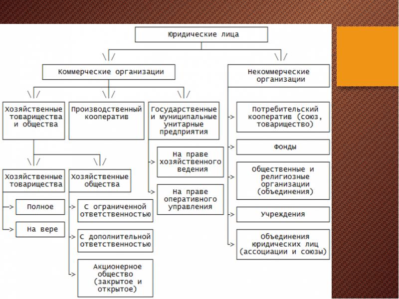 Организационные формы юридических лиц