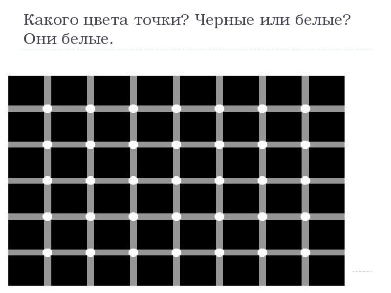 Какие лучше черные или белые. Точка цвета. Какого цвета точки. Маленькие цвета точки. Тоны в точках.