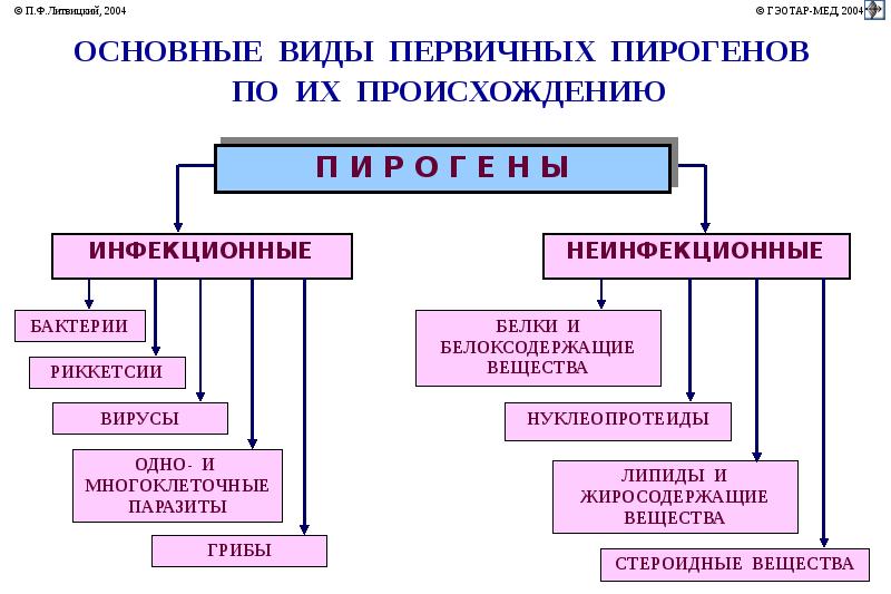 Гипотермия патофизиология презентация