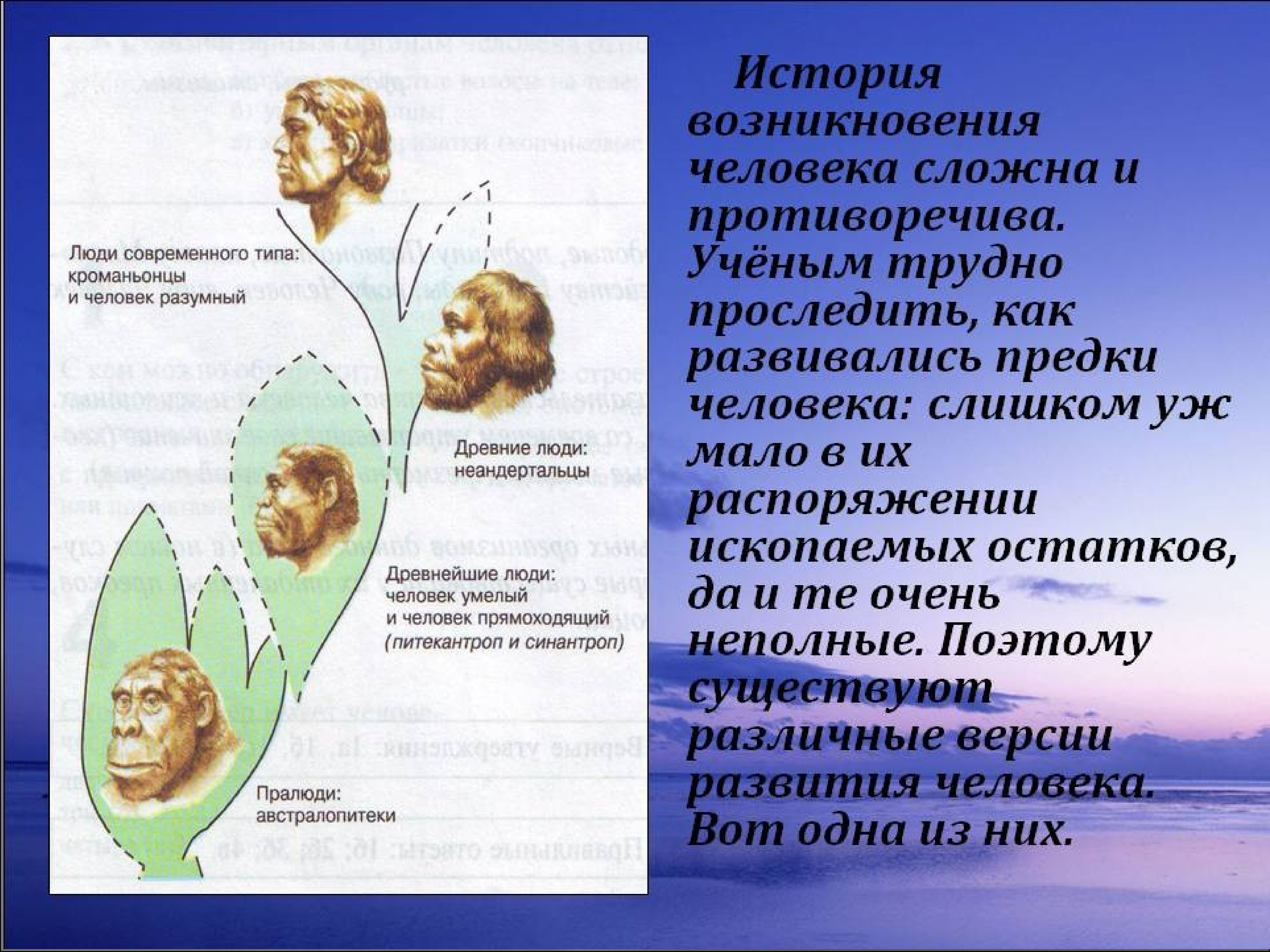 Происхождения человека презентация