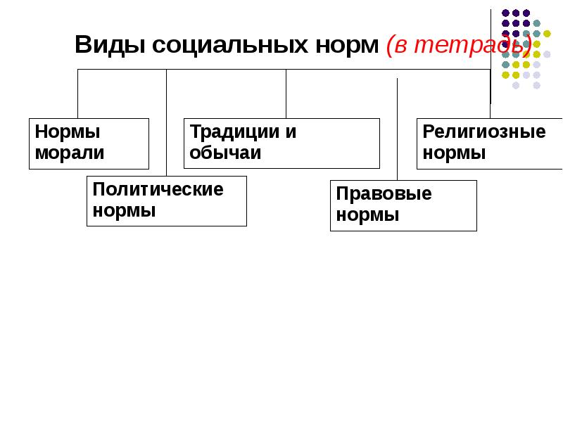 Какие социальные виды есть. Виды социальных норм. Виды социальных норм схема. Схема формы социальных норм. Виды социальных норм нормы традиций.