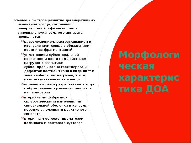 Морфологическая характеристика ДОА Раннее и быстрое развитие дегенеративных изменений хряща, суставных