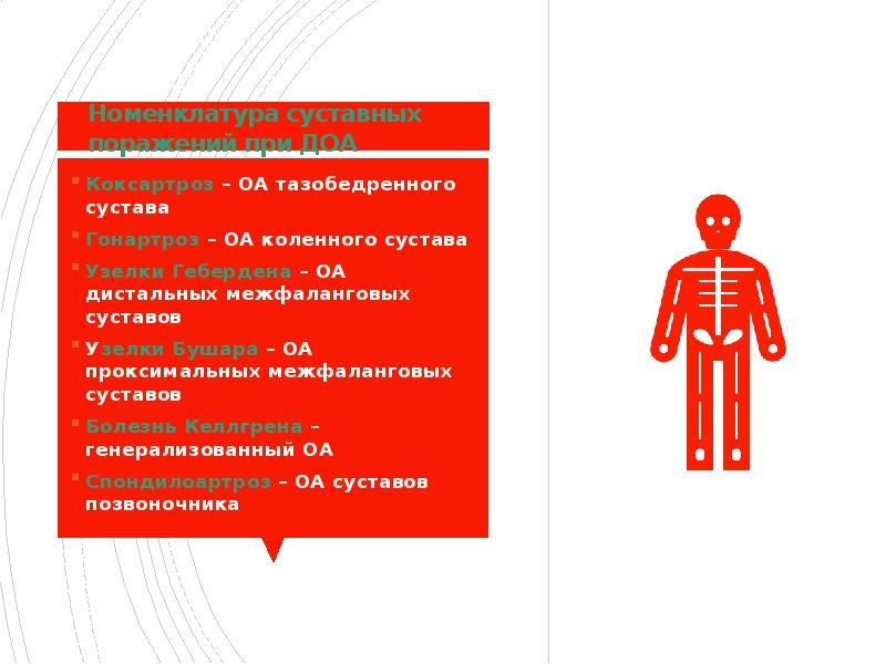 Номенклатура суставных поражений при ДОА Коксартроз – ОА тазобедренного сустава Гонартроз