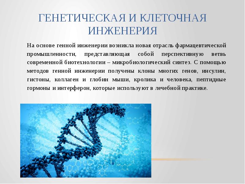 Проект по теме генетика