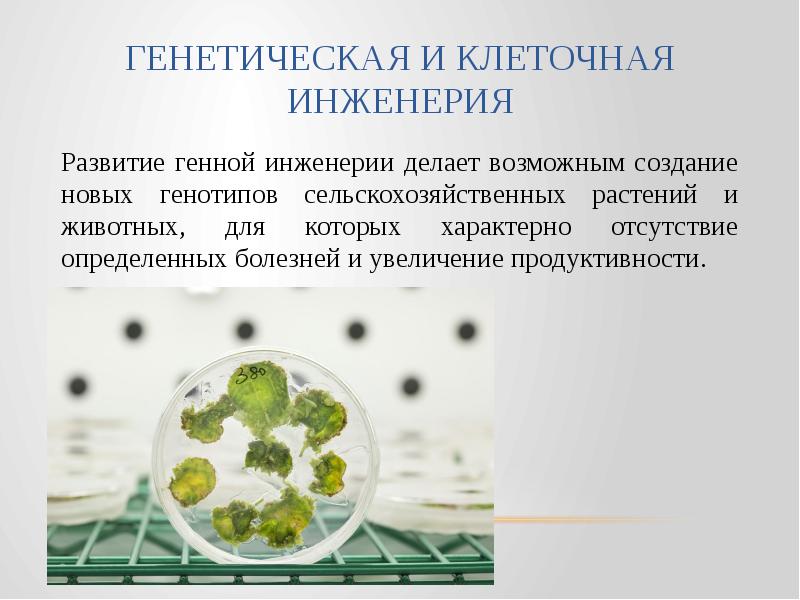 Основы генетики презентация