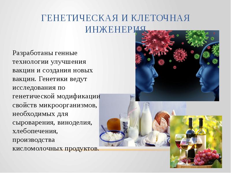 Основы генетики 9 класс презентация