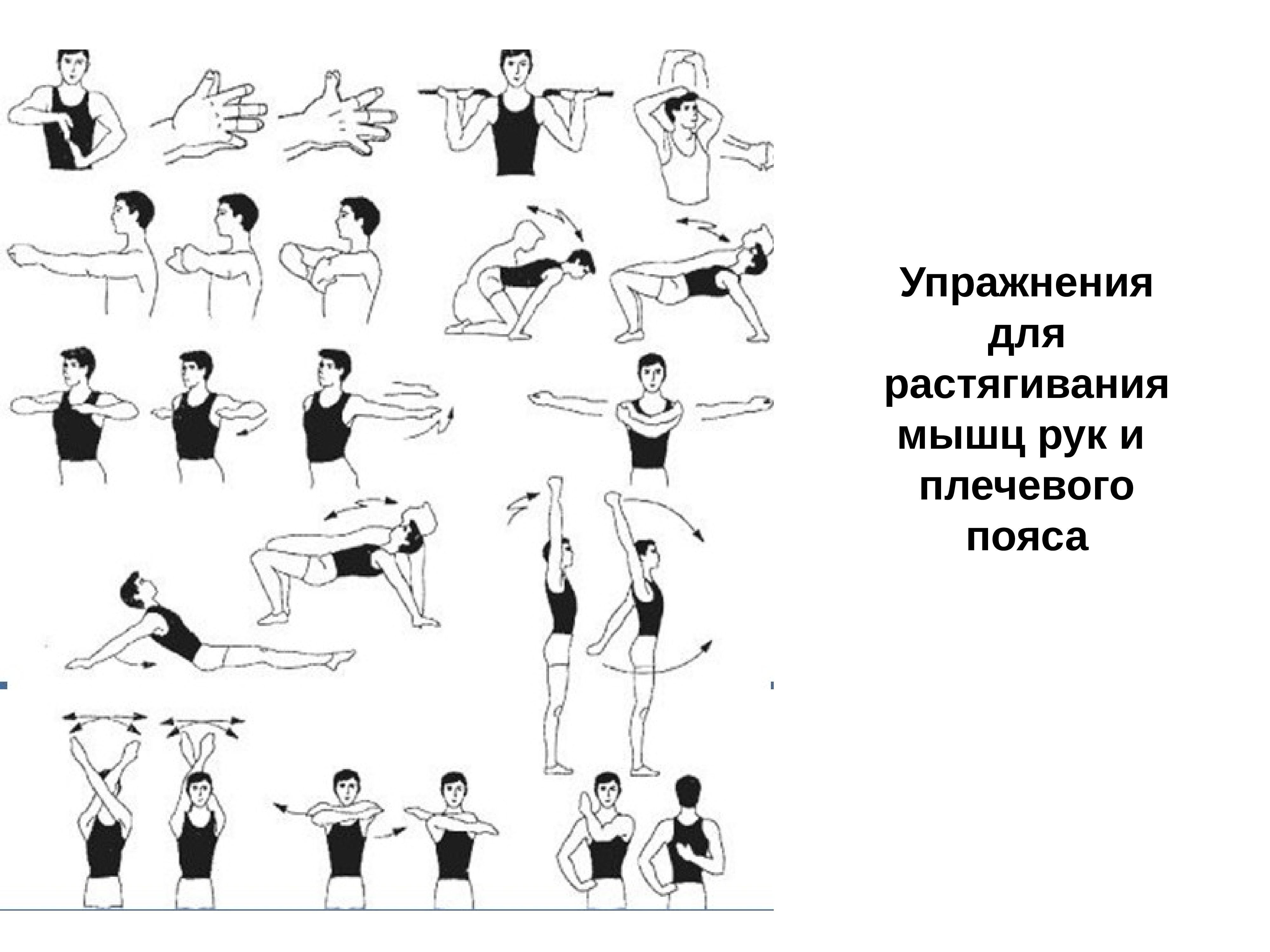 Упражнения для мышц плечевого пояса и рук. Упражнения для мышц плечевого пояса. Разминка мышц плечевого пояса и рук. Упражнения на подвижность плечевого пояса. Растяжка плияевого пояса упр.