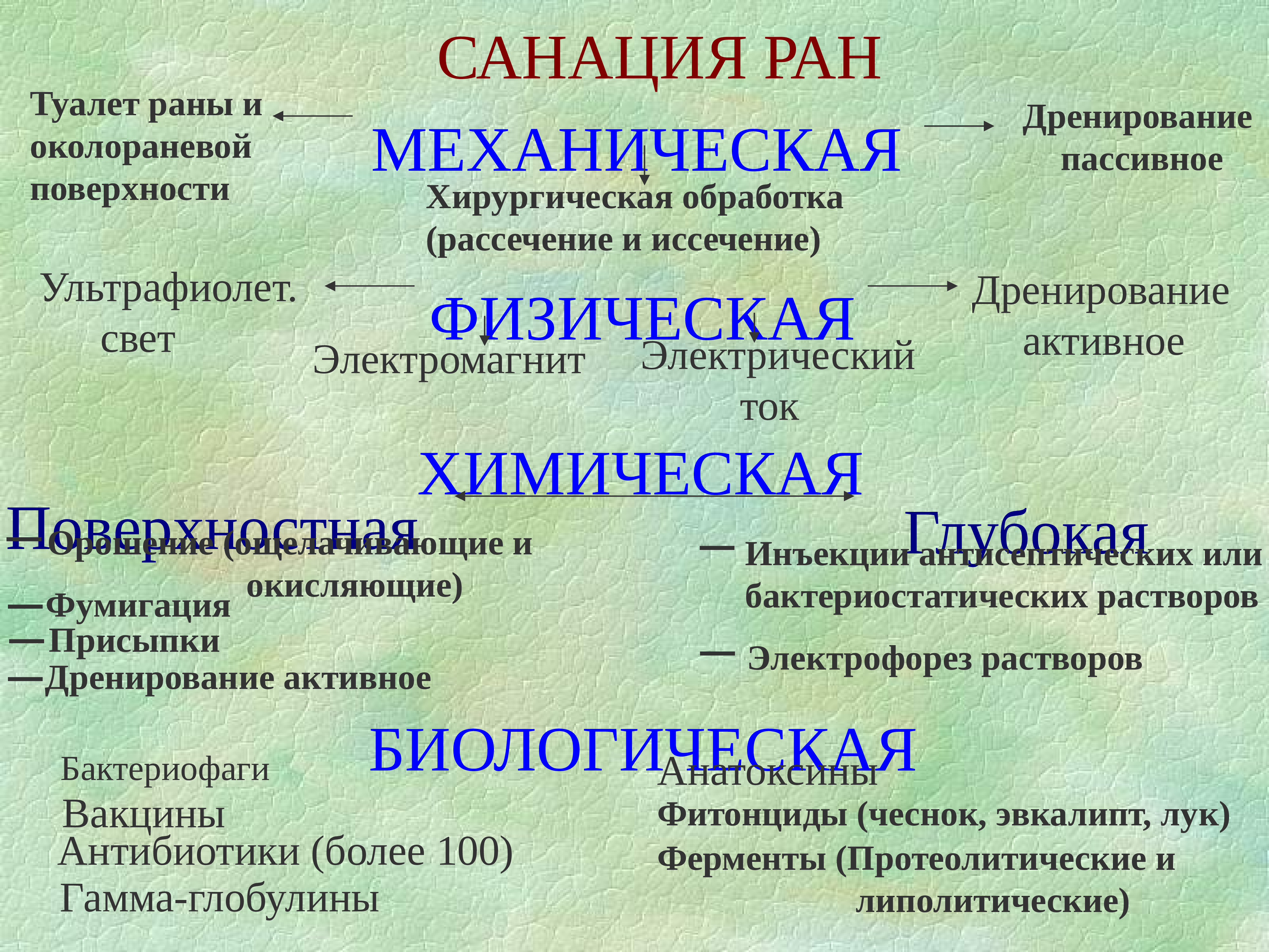 Раны у животных презентация