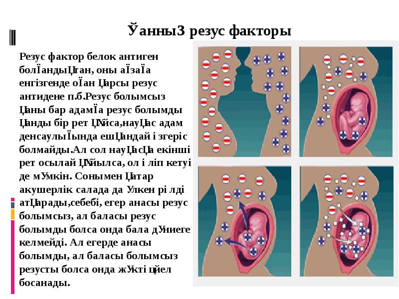 Резус фактор презентация