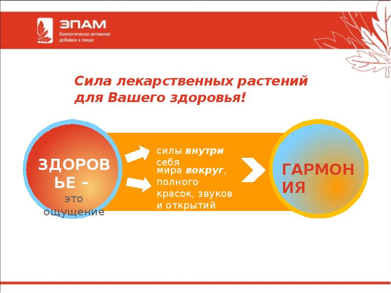 Сила лекарственных растений для Вашего здоровья!