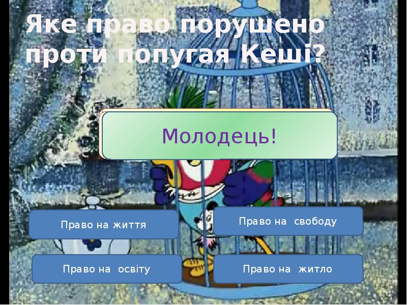 Яке право порушено проти попугая Кеші? Яке право порушено проти попугая Кеші?