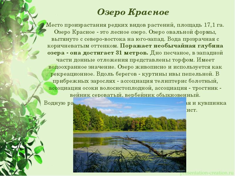 Назовите и опишите памятники природы поволжья. Памятники природы Нижегородской. Природа Нижегородской области презентация. Памятник природы Нижегородскорй обл. Природные памятники Нижегородской области.