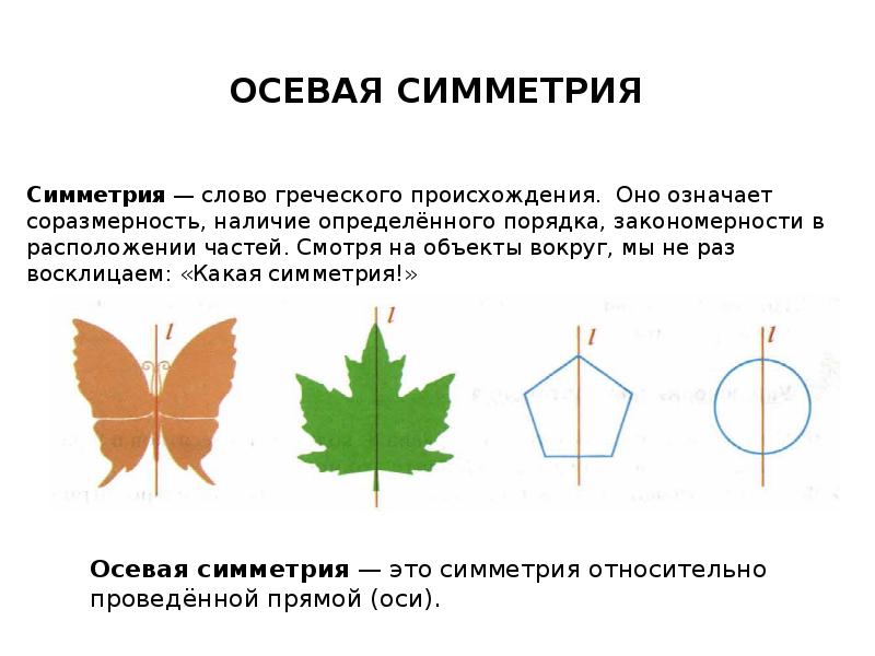 Осевая симметрия проект 6 класс