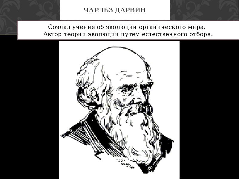 Учение об эволюции органического мира 9 класс презентация