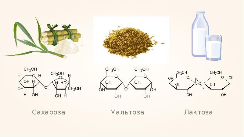 Олигосахариды сахароза презентация 10 класс