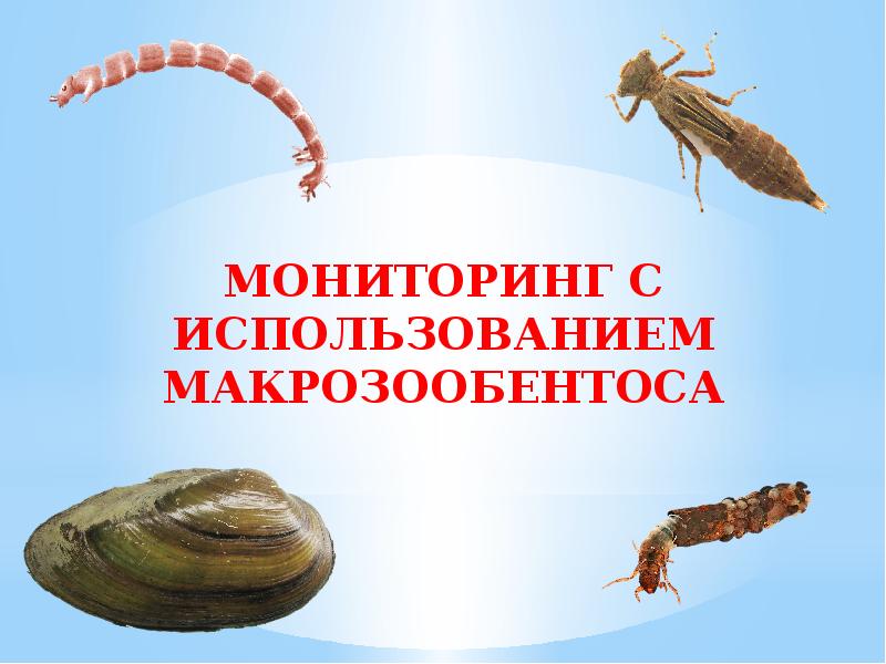 Мониторинг 11