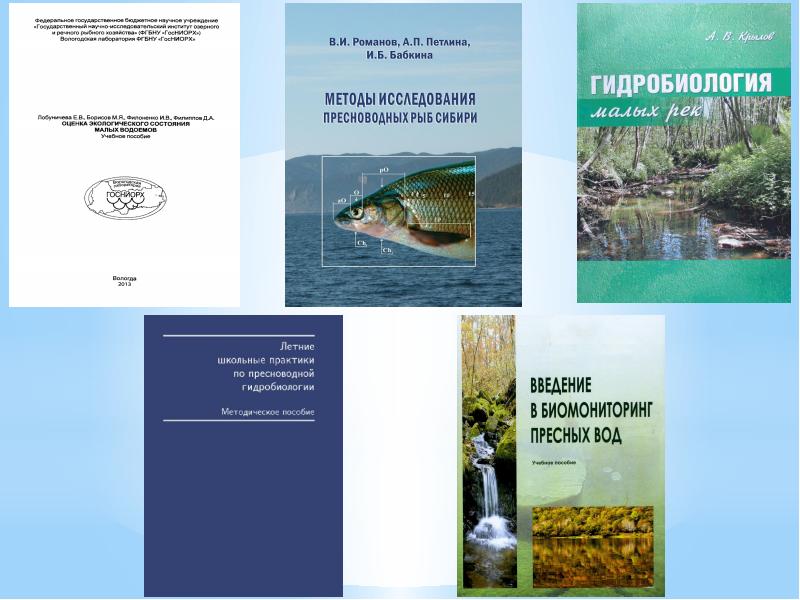 Государственный мониторинг водных. Биомониторинг водных объектов. Биологический мониторинг водных объектов. Гидробиологический мониторинг водных объектов. Биологические исследования водных объектов.