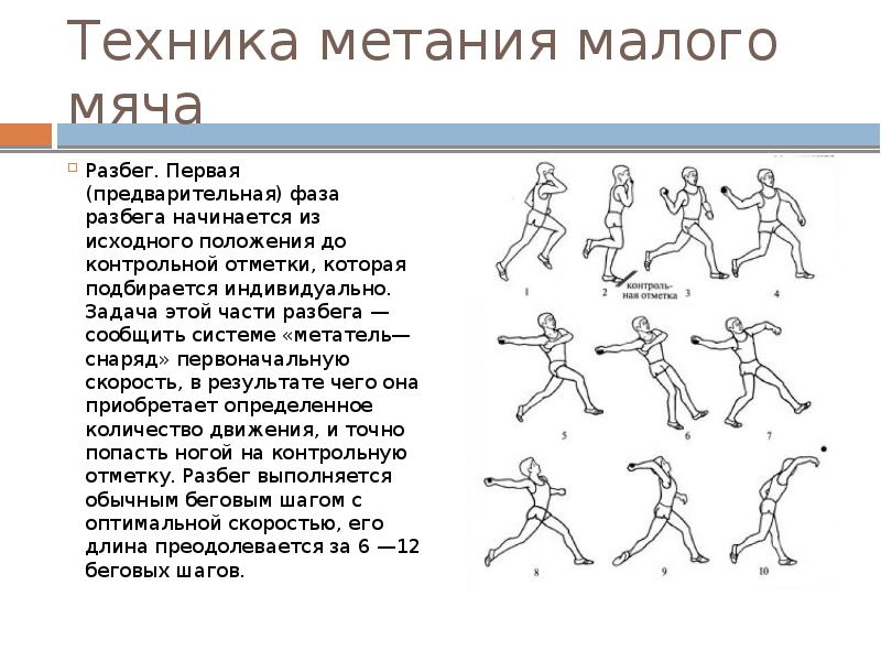 Презентация на тему метание мяча по физкультуре