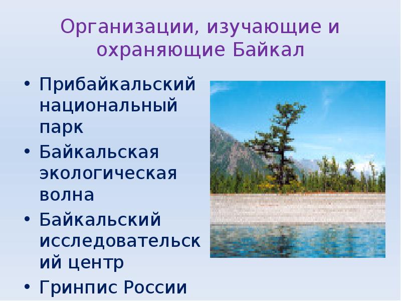 Организации, изучающие и охраняющие Байкал
Прибайкальский национальный парк
Байкальская экологическая волна
Организации, изучающие и охраняющие Байкал
Прибайкальский национальный парк
Байкальская экологическая волна