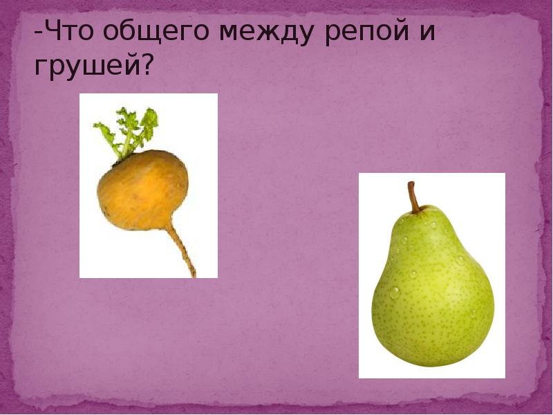 Что общего 4 в 1. Что общего между. Что общего между картинками. В общем. Что общего между этими картинками.