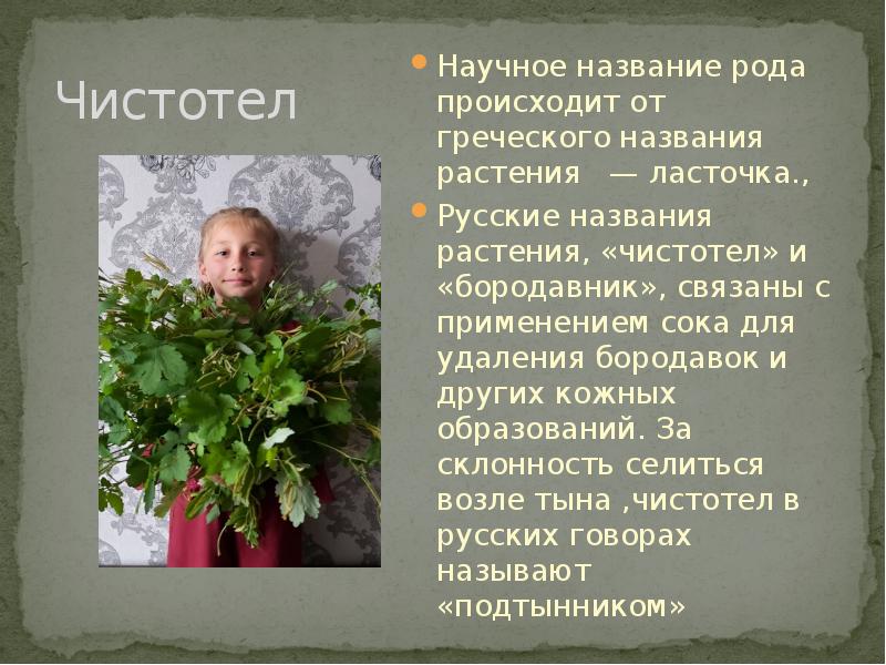 Аптека под ногами презентация