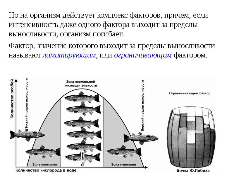 Комплекс факторов. Пределы выносливости это в биологии. Пределы выносливости вида. Что такое граница выносливости в биологии.