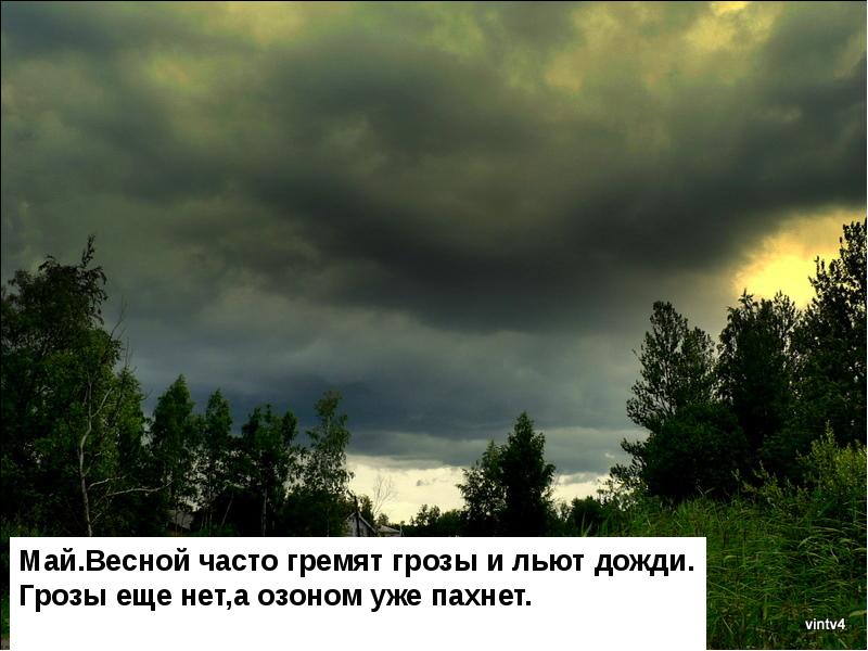 Постоянно идет дождь. Пробуждение природы. Весной чаще всего. Месяцы весны для дошкольников. Весенние цветы.