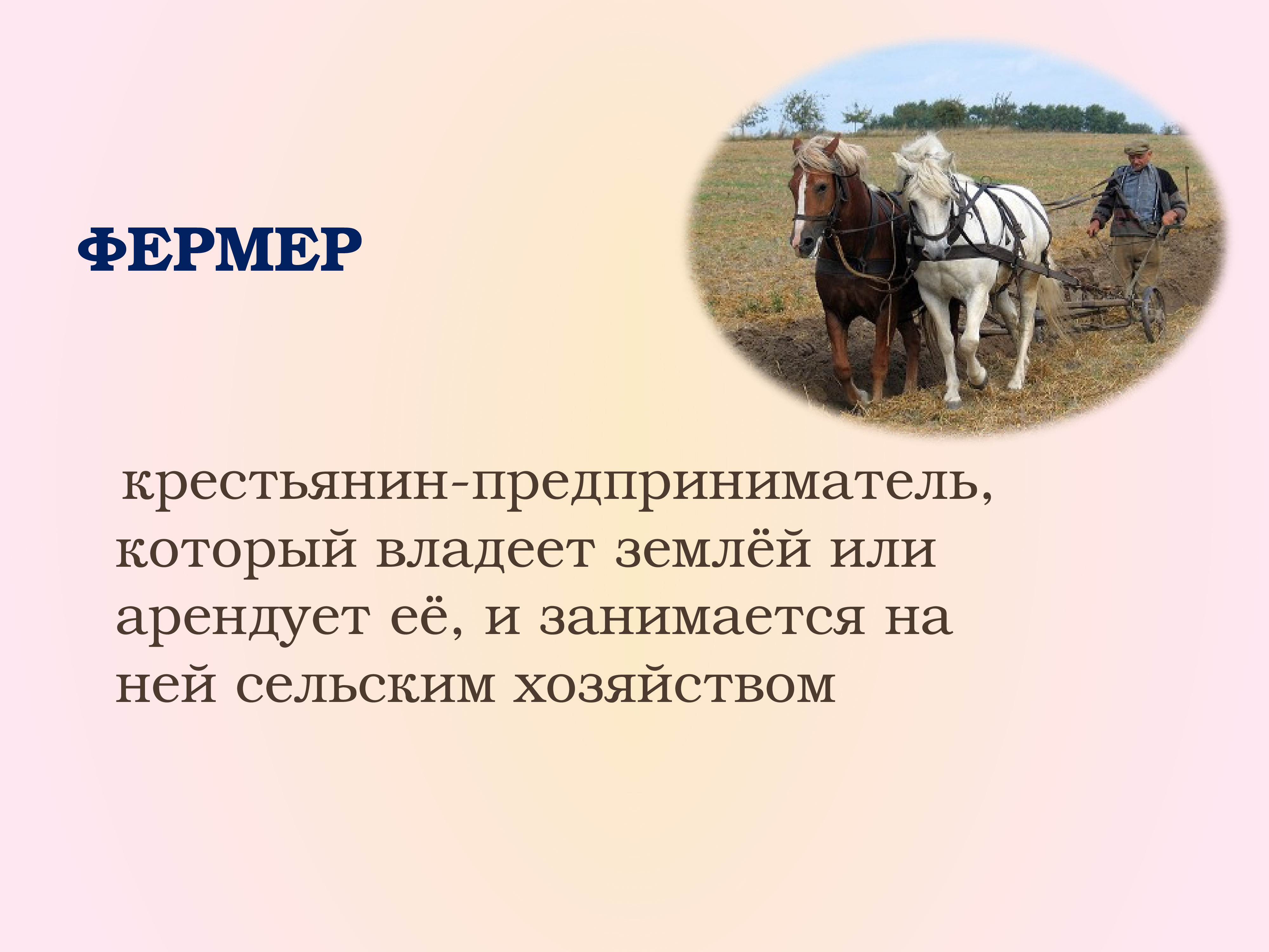 Список хозяйственных работ мужчин в сельской местности. Фермерство презентация. Викторина сельское хозяйство. Профессии мужчин крестьян в прежние времена. Сообщение о фермере.