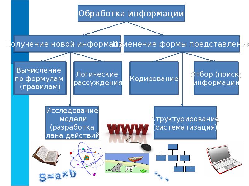 Поиск и обработка информации. Основные информационные процессы в информатике. Процесс (Информатика).