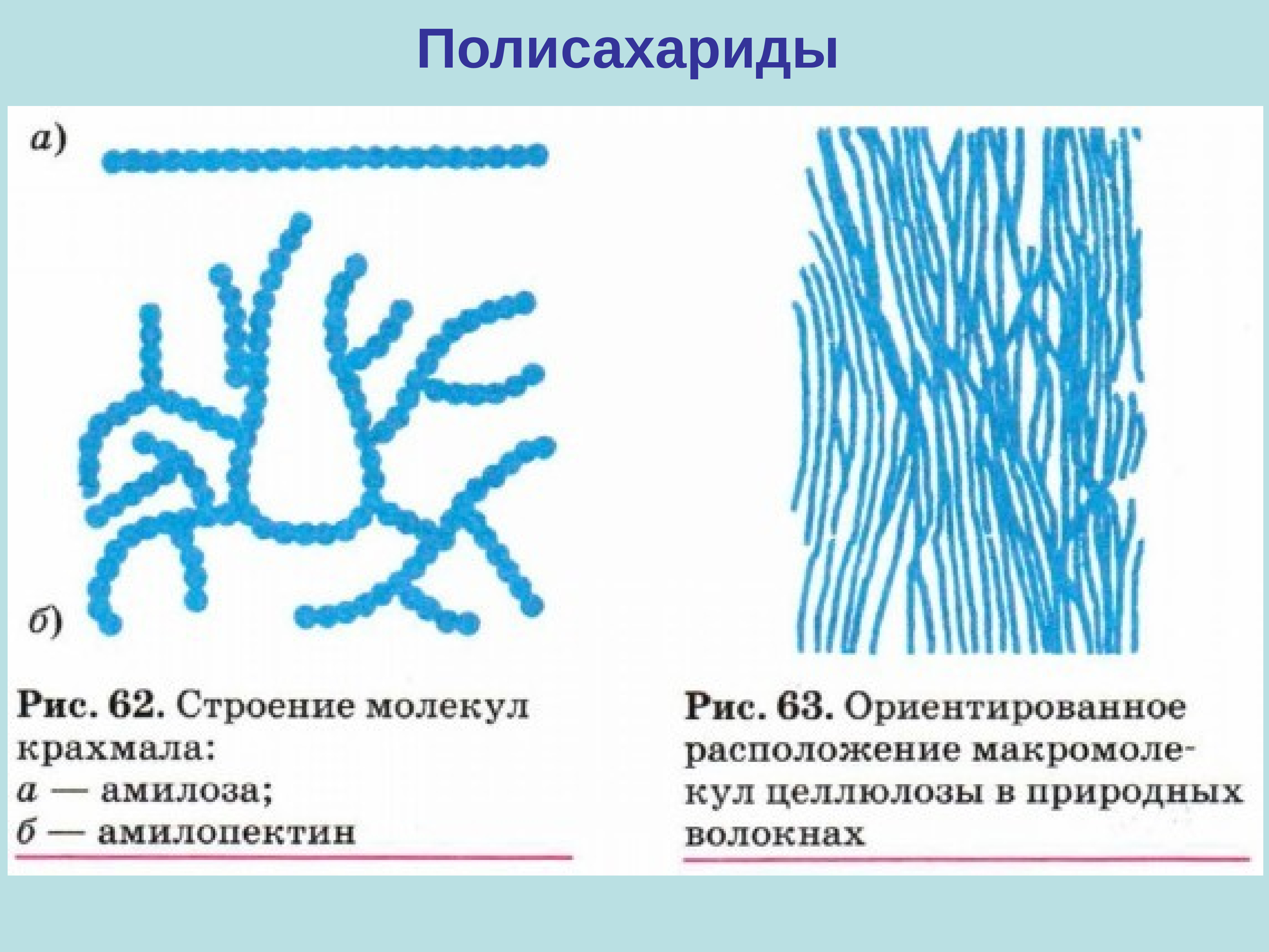 Строение крахмала и целлюлозы. Строение макромолекулы крахмала. Структура макромолекул целлюлозы. Строение полимерной цепи крахмала. Строение макромолекулы целлюлозы.