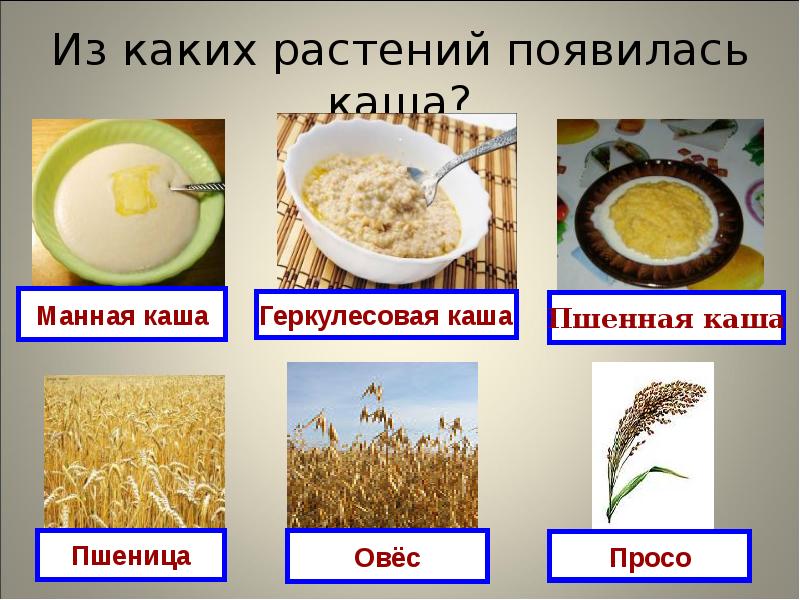 Каши промышленные или домашние