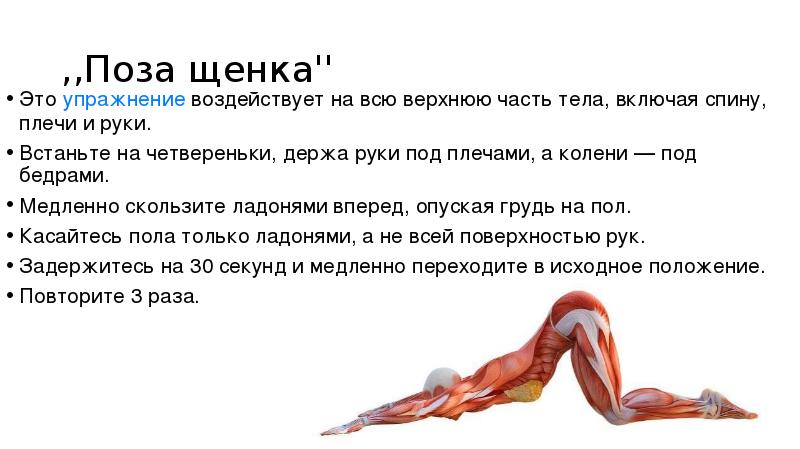 Как физические упражнения влияют на нервную систему. Как физические упражнения влияют на нервную систему