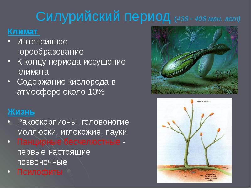 История развития жизни на земле презентация