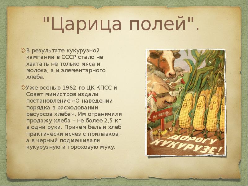 "Царица полей".
В результате кукурузной кампании в СССР стало не "Царица полей".
В результате кукурузной кампании в СССР стало не